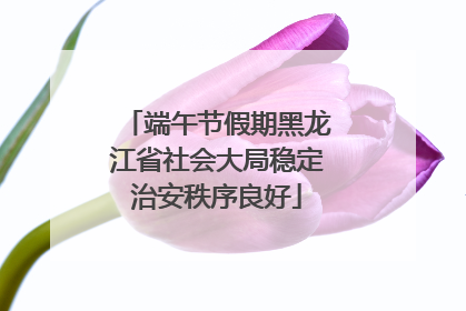 端午节假期黑龙江省社会大局稳定治安秩序良好