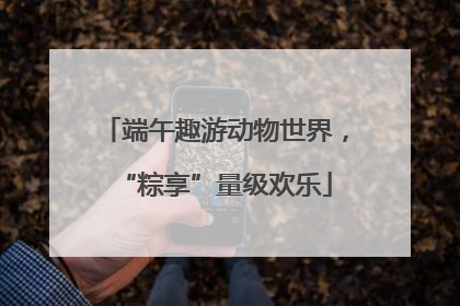端午趣游动物世界，“粽享”量级欢乐
