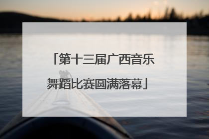 第十三届广西音乐舞蹈比赛圆满落幕