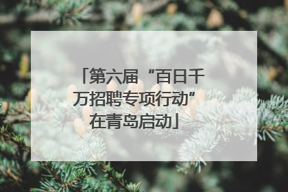 第六届“百日千万招聘专项行动”在青岛启动