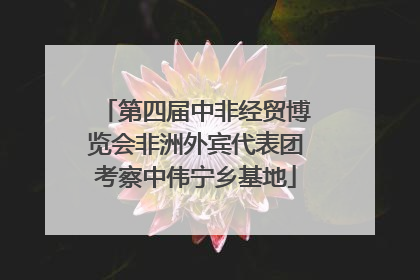 第四届中非经贸博览会非洲外宾代表团考察中伟宁乡基地