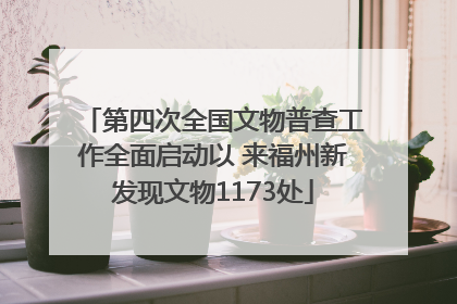 第四次全国文物普查工作全面启动以 来福州新发现文物1173处