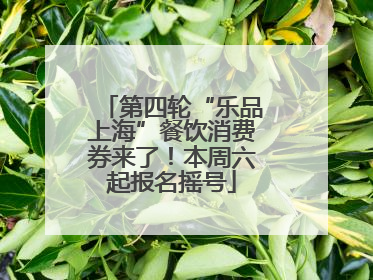 第四轮“乐品上海”餐饮消费券来了！本周六起报名摇号