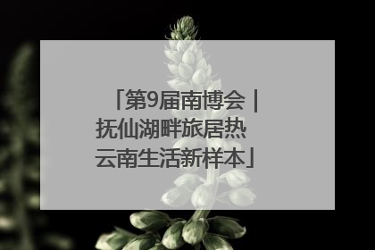 第9届南博会｜抚仙湖畔旅居热 云南生活新样本