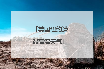 美国纽约遭遇高温天气