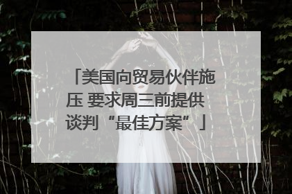 美国向贸易伙伴施压 要求周三前提供谈判“最佳方案”