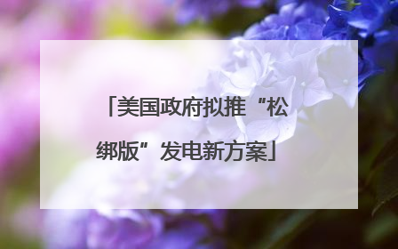 美国政府拟推“松绑版”发电新方案