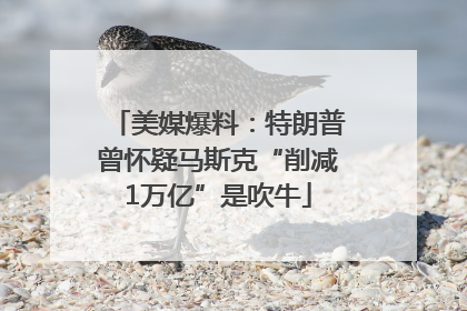 美媒爆料：特朗普曾怀疑马斯克“削减1万亿”是吹牛