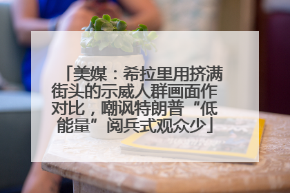 美媒：希拉里用挤满街头的示威人群画面作对比，嘲讽特朗普“低能量”阅兵式观众少