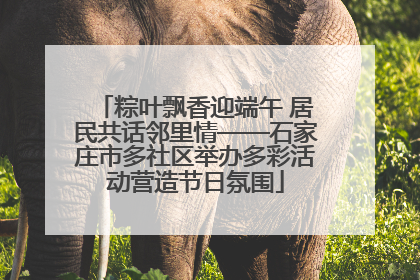 粽叶飘香迎端午 居民共话邻里情——石家庄市多社区举办多彩活动营造节日氛围