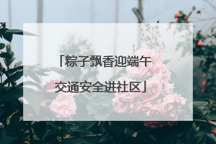 粽子飘香迎端午 交通安全进社区