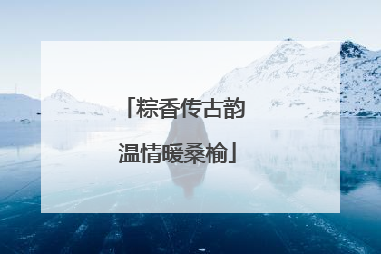 粽香传古韵 温情暖桑榆
