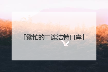 繁忙的二连浩特口岸