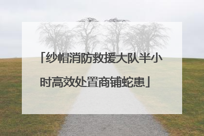 纱帽消防救援大队半小时高效处置商铺蛇患