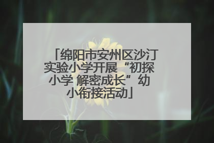 绵阳市安州区沙汀实验小学开展“初探小学 解密成长”幼小衔接活动