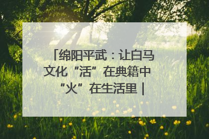 绵阳平武：让白马文化“活”在典籍中 “火”在生活里｜新闻发布最前线