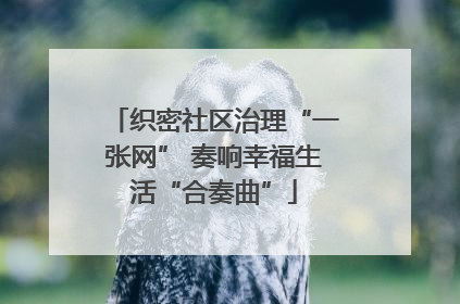 织密社区治理“一张网” 奏响幸福生活“合奏曲”