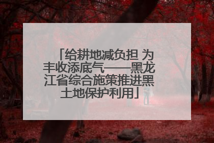 给耕地减负担 为丰收添底气——黑龙江省综合施策推进黑土地保护利用