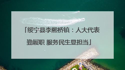 绥宁县李熙桥镇：人大代表勤履职 服务民生显担当