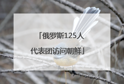 俄罗斯125人代表团访问朝鲜