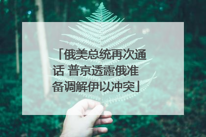 俄美总统再次通话 普京透露俄准备调解伊以冲突