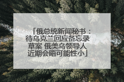 俄总统新闻秘书：待乌克兰回应备忘录草案 俄美乌领导人近期会晤可能性小