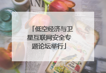 低空经济与卫星互联网安全专题论坛举行