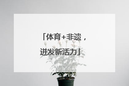 体育+非遗，迸发新活力