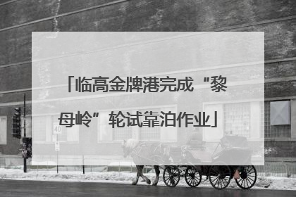 临高金牌港完成“黎母岭”轮试靠泊作业