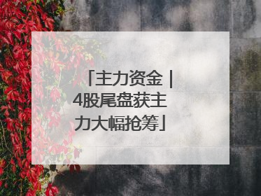 主力资金｜4股尾盘获主力大幅抢筹