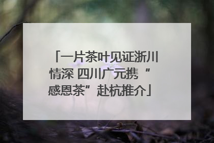 一片茶叶见证浙川情深 四川广元携“感恩茶”赴杭推介