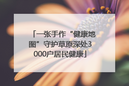 一张手作“健康地图”守护草原深处3000户居民健康