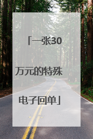 一张30万元的特殊电子回单