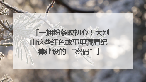一捆粉条映初心！大别山这些红色故事里藏着纪律建设的 “密码”