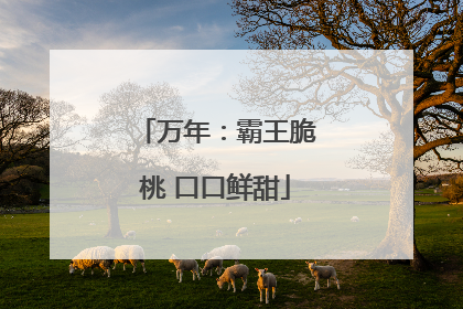 万年:霸王脆桃 口口鲜甜