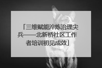 三维赋能淬炼治理尖兵——北新桥社区工作者培训初见成效
