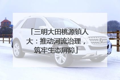 三明大田桃源镇人大：推动河流治理，筑牢生态屏障