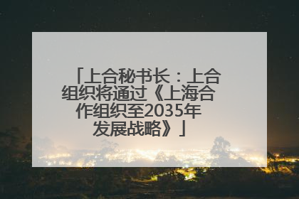 上合秘书长：上合组织将通过《上海合作组织至2035年发展战略》