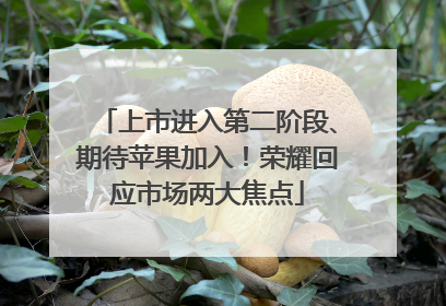 上市进入第二阶段、期待苹果加入！荣耀回应市场两大焦点