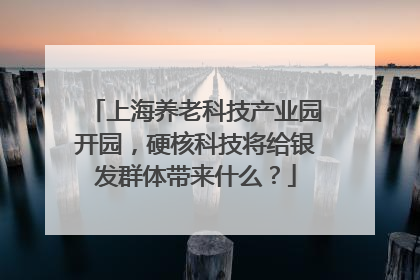 上海养老科技产业园开园，硬核科技将给银发群体带来什么？