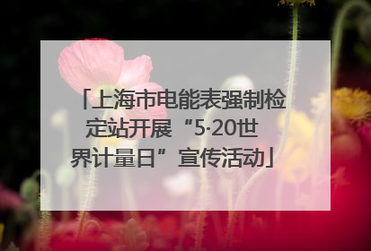 上海市电能表强制检定站开展“5·20世界计量日”宣传活动