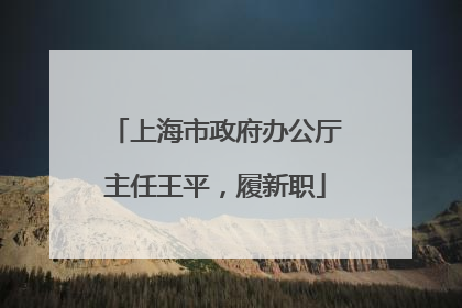 上海市政府办公厅主任王平，履新职