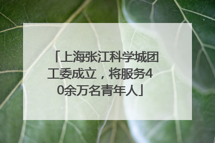 上海张江科学城团工委成立，将服务40余万名青年人