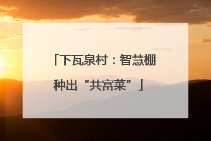 下瓦泉村：智慧棚种出“共富菜”