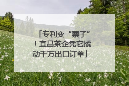 专利变“票子”！宜昌茶企凭它撬动千万出口订单