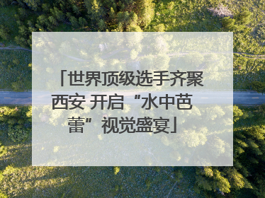 世界顶级选手齐聚西安 开启“水中芭蕾”视觉盛宴