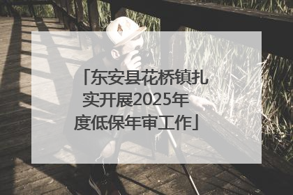 东安县花桥镇扎实开展2025年度低保年审工作