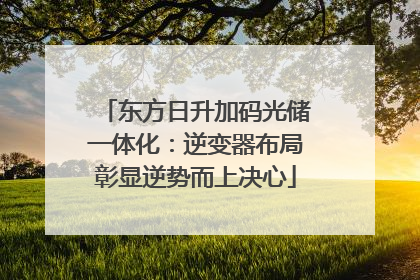 东方日升加码光储一体化：逆变器布局彰显逆势而上决心