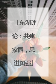 东湖评论：共建家园，思进图强
