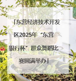 东营经济技术开发区2025年“东营银行杯”群众舞蹈比赛圆满举办